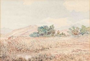 Hugo Naudé; An Extensive Landscape with a Wetland