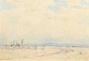 Willem Hermanus Coetzer; Landscape