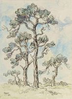 Gregoire Boonzaier; Cape Pines