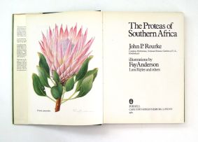 Rourke, John P, Anderson, Fay; The Proteas of Southern Africa