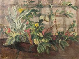 Florence Zerffi; Pot Plants
