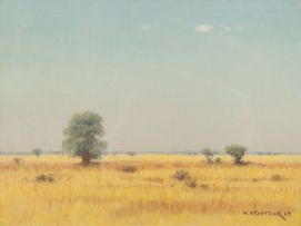 Willem Hermanus Coetzer; Transvaal Landscape