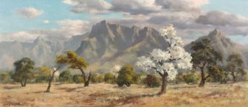 Otto Klar; Landscape with Flowering Dombeya