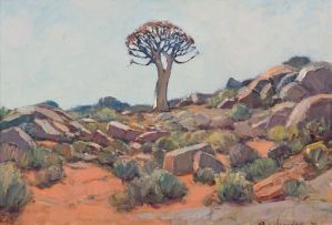 Piet van Heerden; Kokerboom, Namaqualand