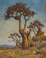 Conrad Theys; Quiver Tree in a Rocky Landscape