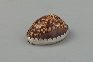 A Cape silver-mounted cowrie shell snuff box, early 19th century