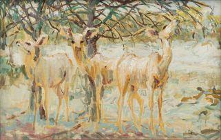 Zakkie Eloff; Kudu in the Veld