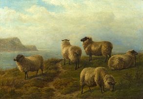 Charles Jones; Sheep Grazing on a Headland