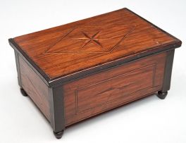 A Cape stinkwood and yellowwood inlaid box, 19th century