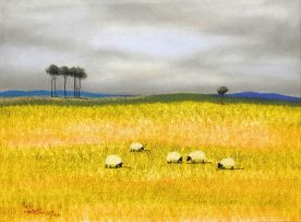 Pieter van der Westhuizen; (Untitled) Sheep I