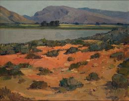 Piet van Heerden; Western Province Landscape