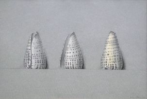 Wim Blom; Cowrie Shells