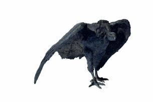 Marion Burnett; Cape Vulture