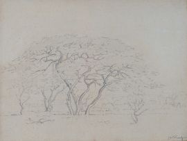 Jacob Hendrik Pierneef; Trees