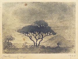 Jacob Hendrik Pierneef; Tree