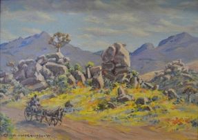 Erich Mayer; The Road near Springbok