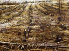 Kim Berman; Stripped, Lowveld Plantation II