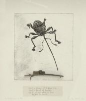 Paula Louw; Hairy Rove Beetle