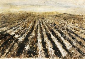 Anneke Carter; Mulched Earth