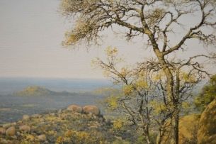 Francois Koch; Lowveld Landscape
