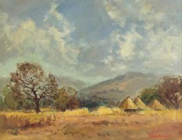 Titta Fasciotti; Bushveld Huts