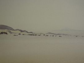 Walter Westbrook; Namibian Desert Landscape