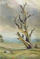 Christopher Tugwell; Dehydrated Tree