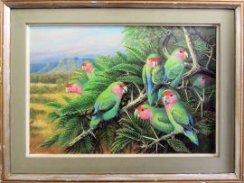 Phillip Alexander Clancey; Rosyfaced Lovebirds