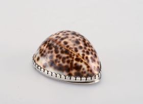 A Scottish Provincial silver-mounted cowrie shell snuff box, apparently unmarked, 19th century