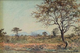 Erich Mayer; Bushveld Landscape