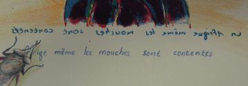 Breyten Breytenbach; Meme les Mouches Sont Contents (Even the Flies are Happy)