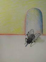 Breyten Breytenbach; Meme les Mouches Sont Contents (Even the Flies are Happy)