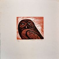 Peter Clarke; Owl