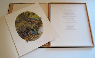 Gail Denise Darroll; Birds of the Veld and Vlei, the Sappi Collection portfolio