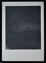 Paul Stopforth; Hand, from the Steve Biko series