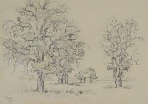 Gregoire Boonzaier; Oak Studies