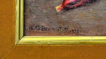 William George Bevington; Hibiscus