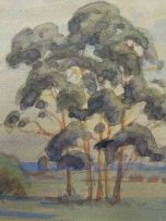 Erich Mayer; Tree Study