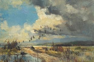 Errol Boyley; Birds in Flight