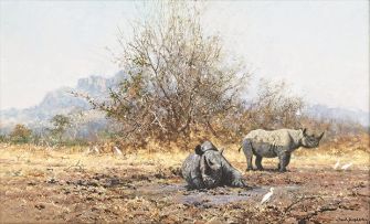 David Shepherd; Rhino I
