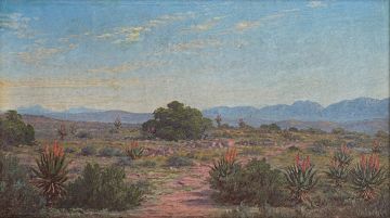 Jan Ernst Abraham Volschenk; De Veld-Aloes, Near Riversdale