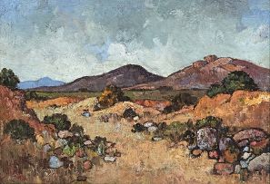 Conrad Theys; Namib Landscape