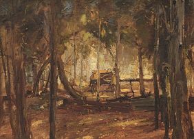 Pieter Wenning; Forest
