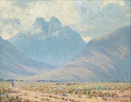 Willem Hermanus Coetzer; Stellenbosch