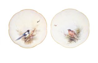 A pair of Royal Worcester ornithological plates, 1916