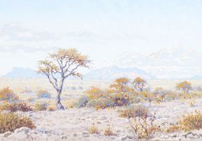 Johannes Blatt; Namibian Landscape I