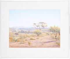 Johannes Blatt; Namibian Landscape II