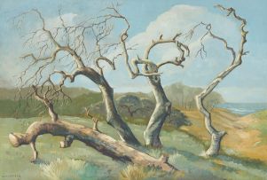 Willem Hermanus Coetzer; Dead Trees