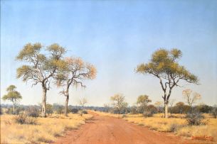 Francois Koch; Road through the Bushveld