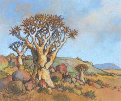 Conrad Theys; Giant Quivertree Near Nigamoeb, N. Cape